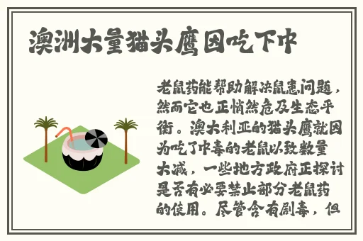 七天再约高颜值返场